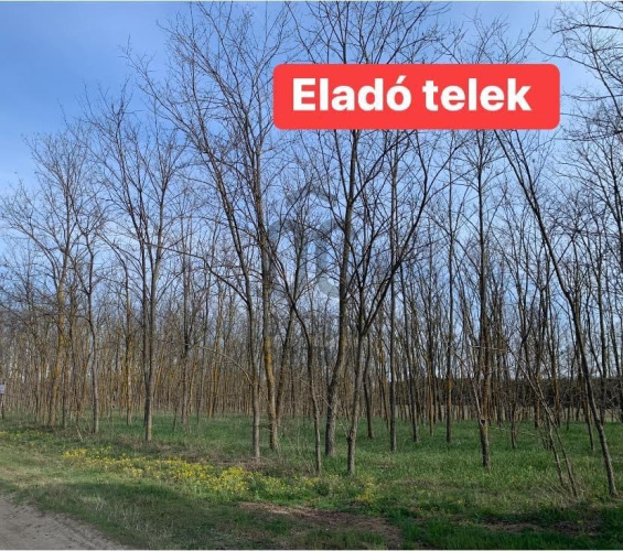 Telek · 5.900.000 Ft