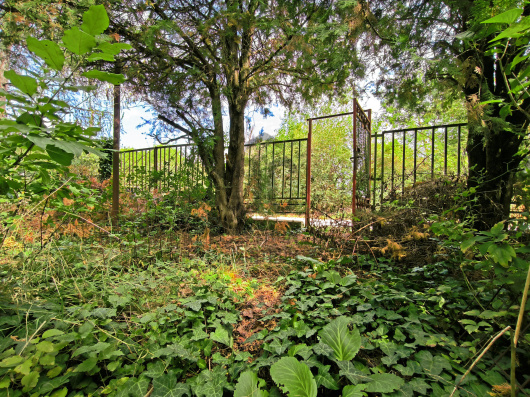 Index image