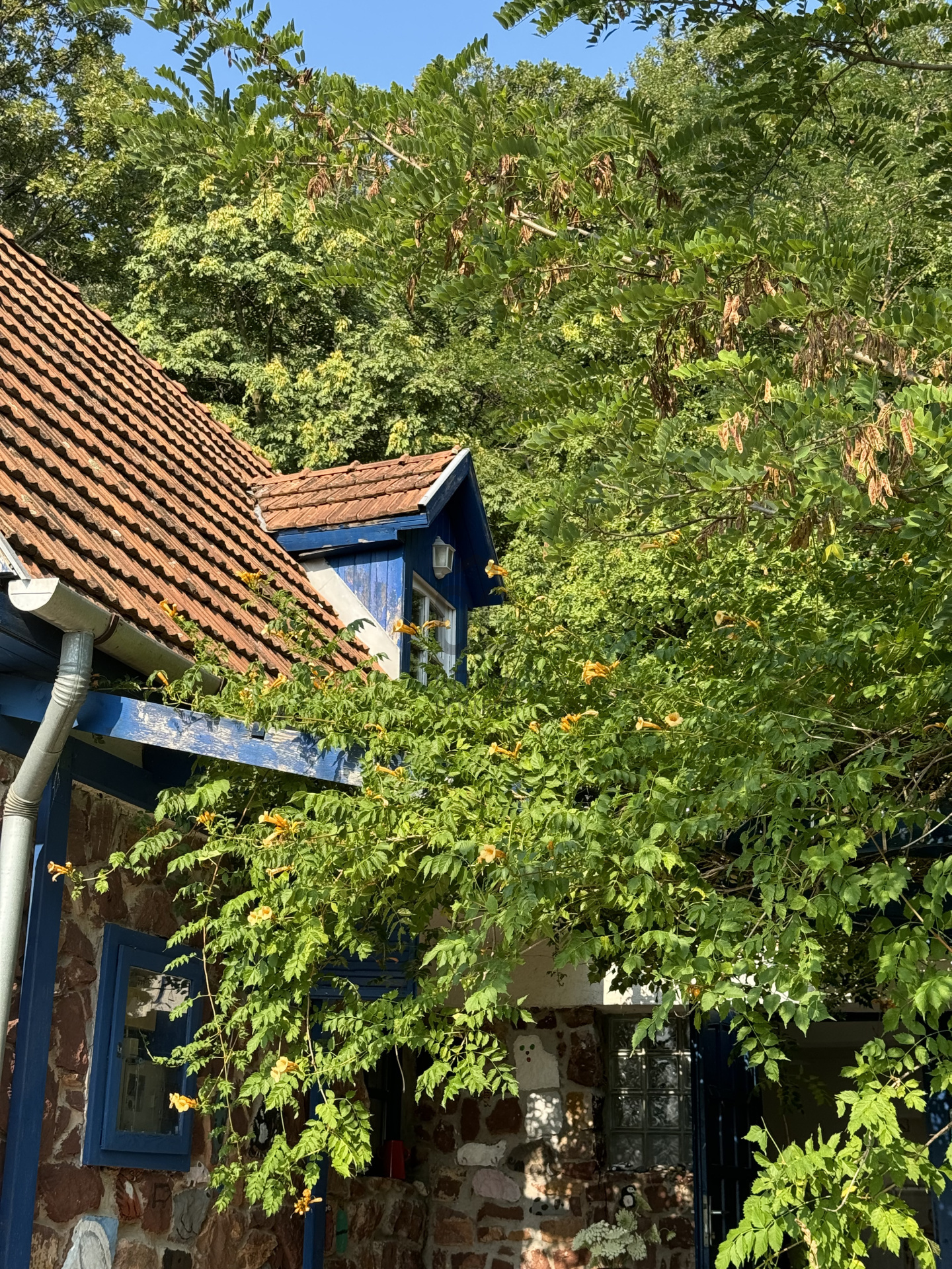 Gallery zoom image