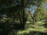 Index image