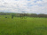 Index image