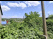 Index image
