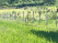 Index image