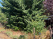 Index image