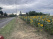 Index image