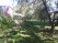 Index image