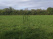 Index image