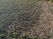 Index image
