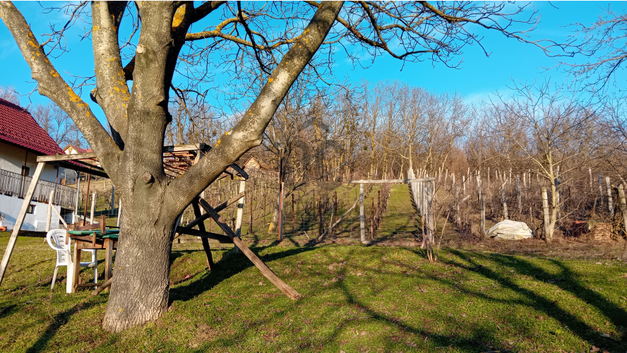 839m² · Telek · 6.500.000 Ft