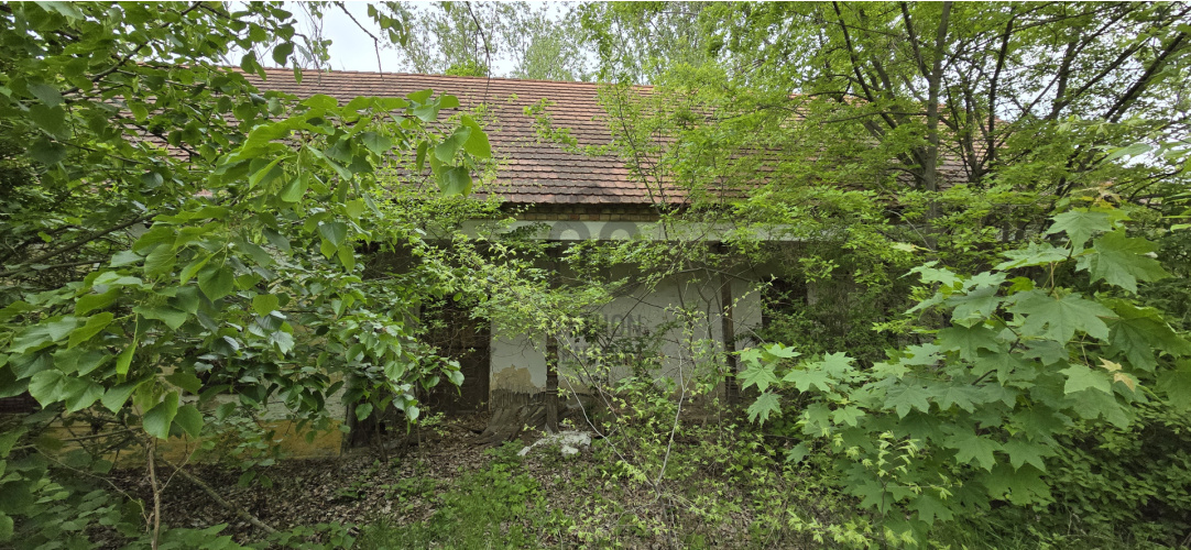 120m² · Üzlethelyiség · 9.900.000 Ft