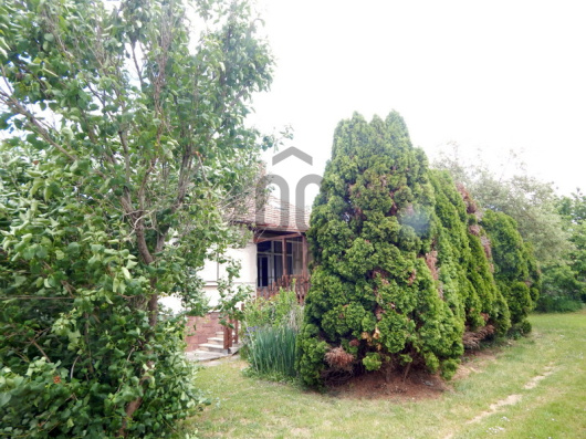 Index image