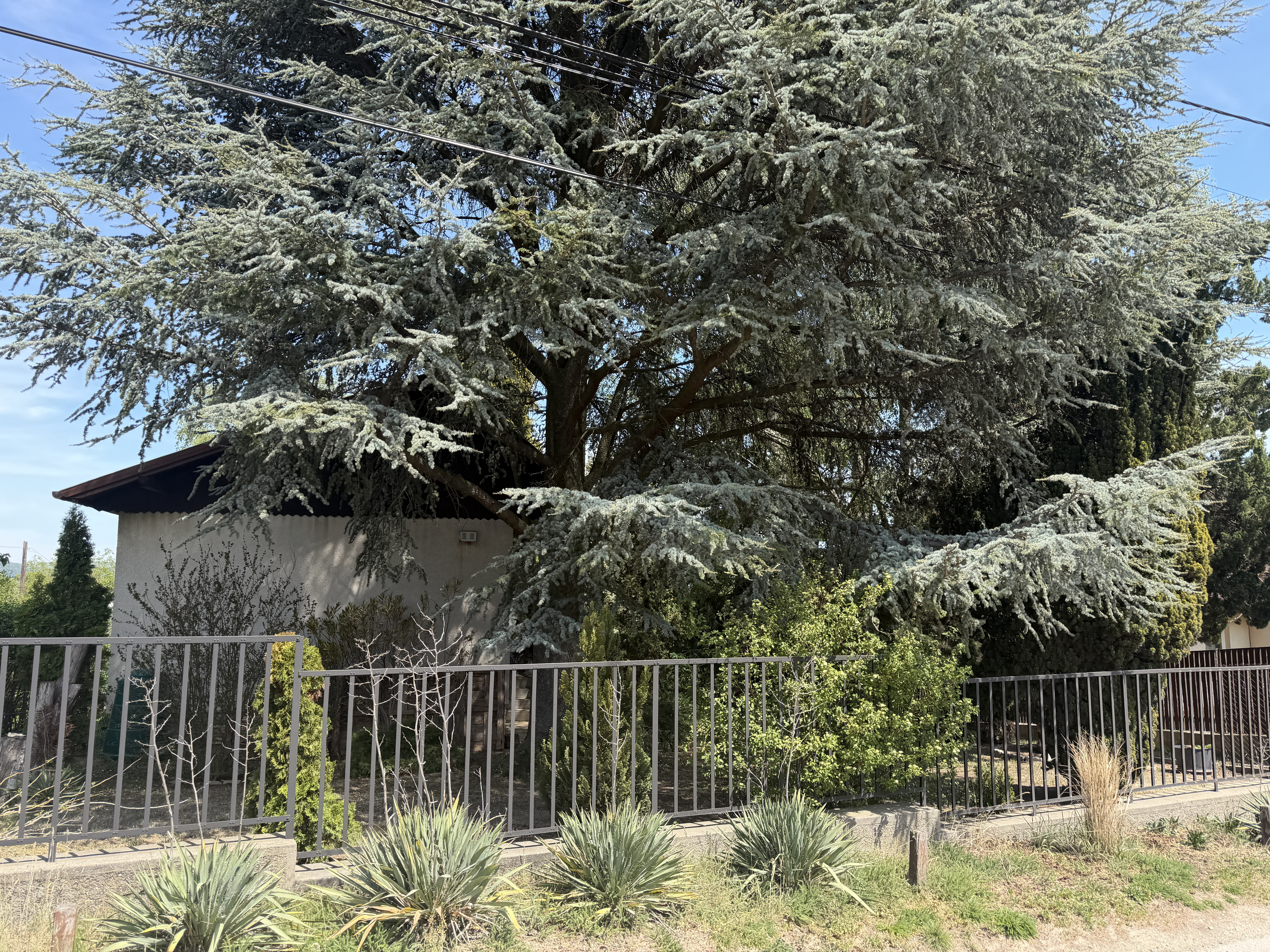 Gallery zoom image