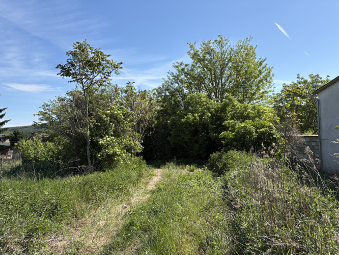 T041656 - 2. nézet