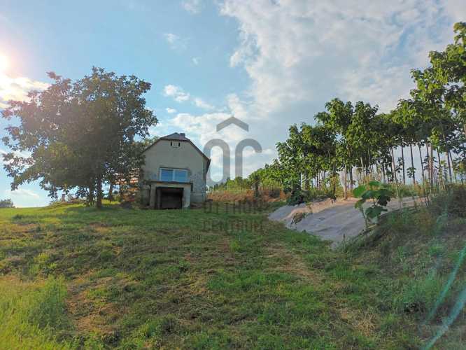 1 bed · 62m² · Nyaraló · 14.000.000 Ft