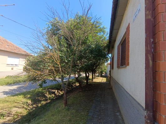Index image