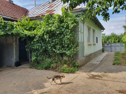 Index image