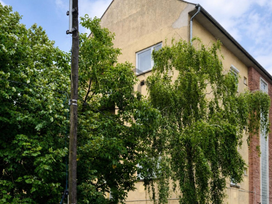 Index image