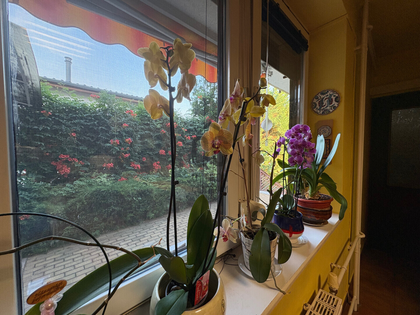 Gallery zoom image