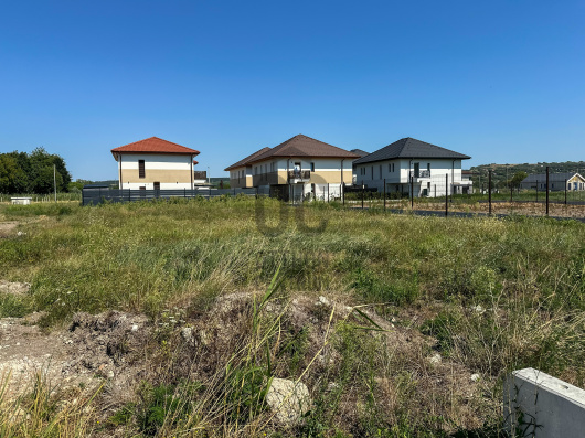 Index image