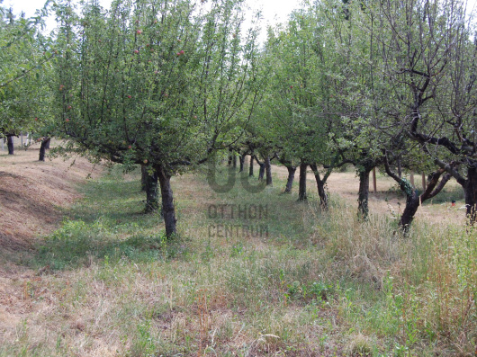 Index image