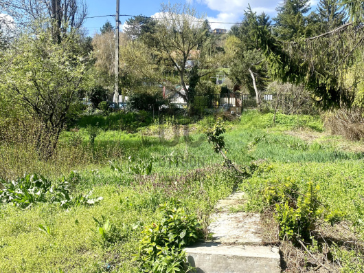Index image