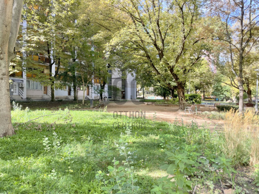 Index image